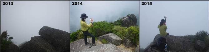 過去３回の巡視の際の山頂の様子