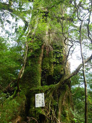 モッチョム太郎