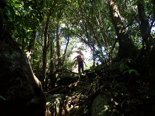 急峻な登山道の様子
