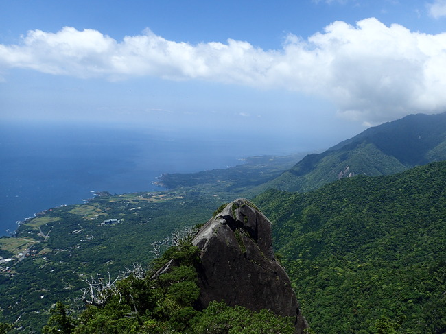 海から山へと続く緑と海岸線