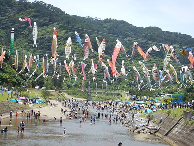 平成28年度奥ヤンバル鯉のぼり祭りの会場で、色とりどりの鯉のぼりが宙を泳いでいる。