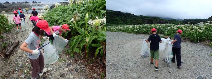 海岸清掃の様子