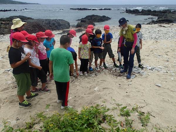 ウミガメの上陸跡を見学する様子