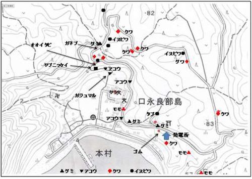 エラブオオコウモリ観察マップ