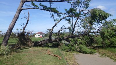 倒木により駐車場に入ることができません。ご迷惑をお掛けしております。