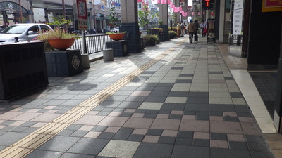 シラスブロックの歩道。