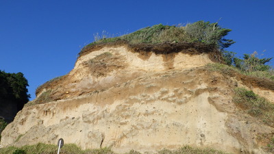 鹿児島の土台「シラス層」。県本土に広がる地層です。