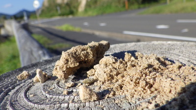 崩れやすい砂質のシラス。触るとほろほろ崩れます。