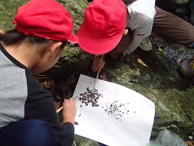 フンの中身を観察する様子