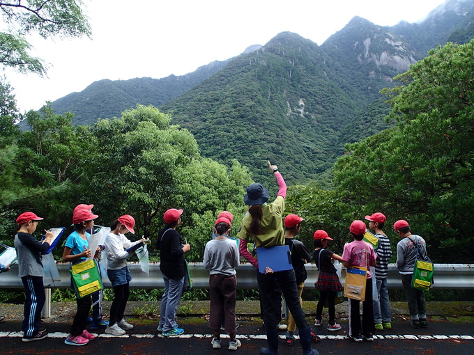 植生の垂直分布を観察する様子