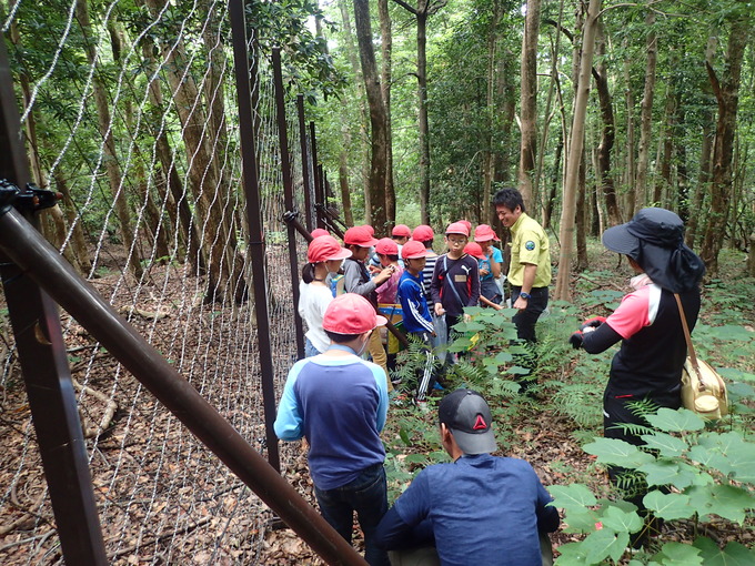 植生保護柵内で林床植生を観察する様子