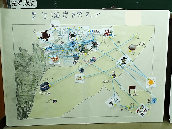 完成した生きもののつながり