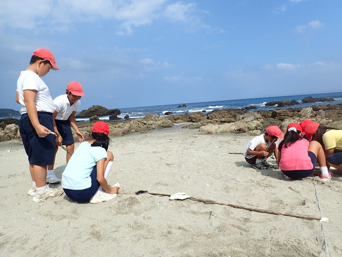 流木やサンゴをまっすぐつなげて長さを競っている様子