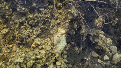 麓付近はボロボロした地質