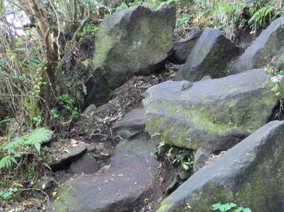 山頂付近はゴロゴロした岩場