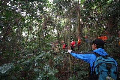 鬱蒼とした林内