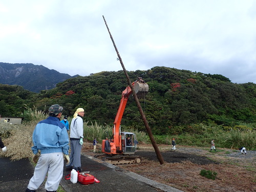 バックホーでスギの木を持ち上げる様子