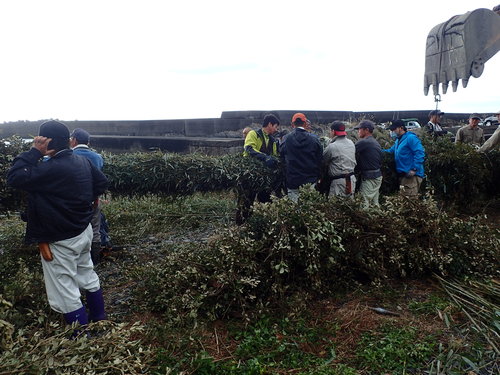 スギにコサン竹とウバメガシの枝を取り付ける様子