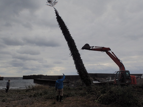 バックホーで柱を立てる様子