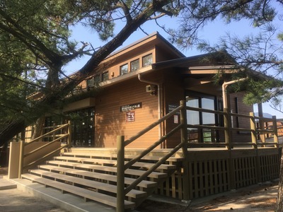 入口への階段は優しいさわり心地の木材をしようしています。大きな窓ガラス越しに外の景色も見れますよ。