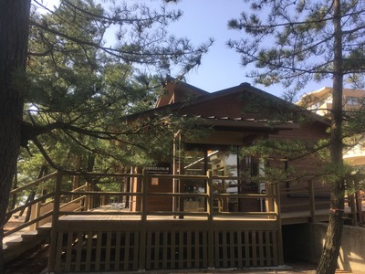 入口はこちら。ドアの開ける感触もやわらかいです。