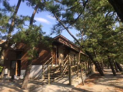 階段の横にはゆるやかなスロープもついてます。