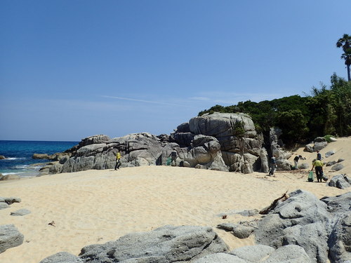 パークボランティアの清掃の様子①