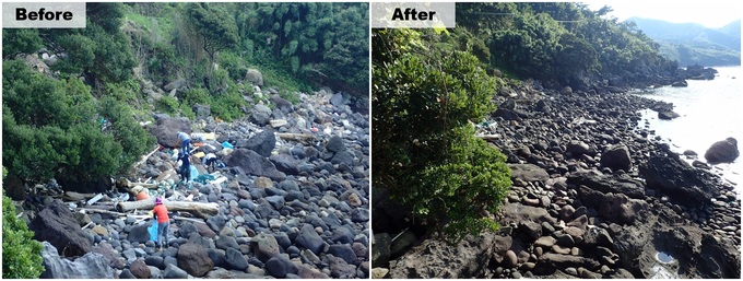清掃前と後の海岸の様子