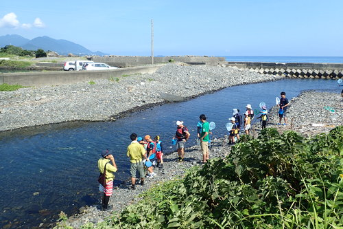 川へ向かう参加者の様子