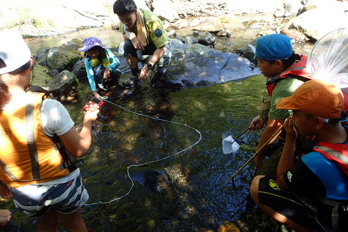 川の流速を計測する様子