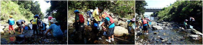 生き物採集の様子