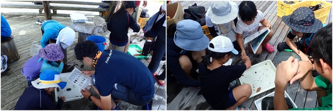 指標生物を観察する様子