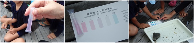 パックテストによる水質調査の様子