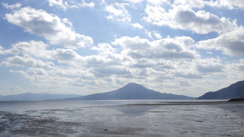 目の前の干潟と後ろにそびえる桜島の光景はすばらしいものです。