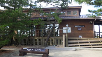 なぎさミュージアムは松林の中にあります。