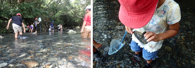 川で生き物調査する様子