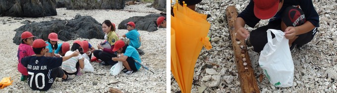 貝殻採集の様子