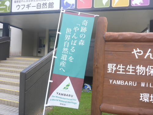 センター前ののぼり