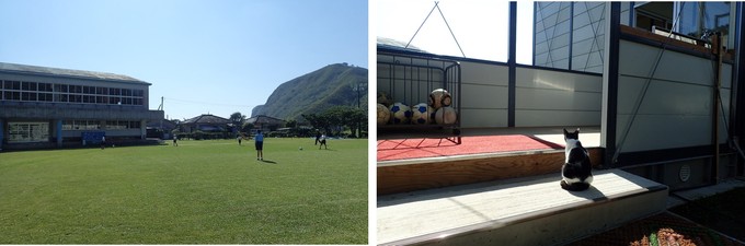 金岳小中学校の校庭で児童が遊ぶ様子と校舎にいるネコ