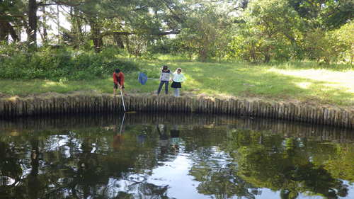 居合わせた親子も一緒にカダヤシ採集。兄弟そろって夢中。
