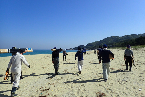 ウミガメ保護柵設置作業の様子