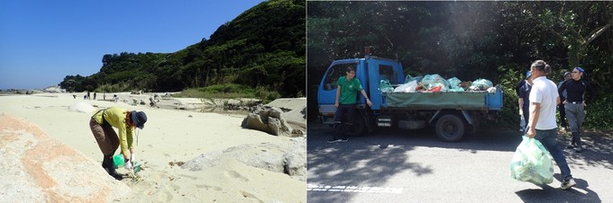 海岸清掃の様子