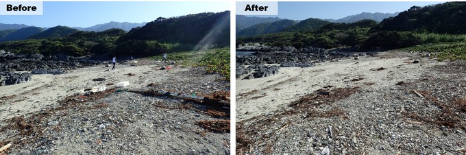 清掃前と後の海岸の様子