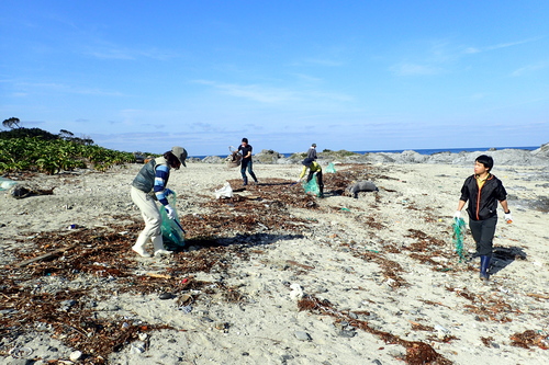 海岸を清掃する様子