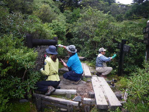 みんなで看板を補修している様子