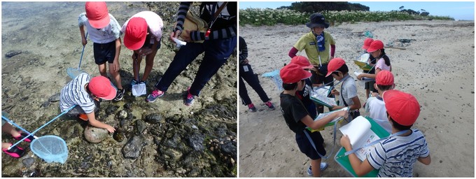 ビンゴゲームをしながら生き物探しをする様子