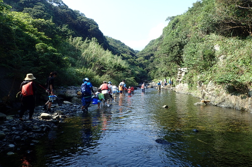 川の上流へ移動する様子