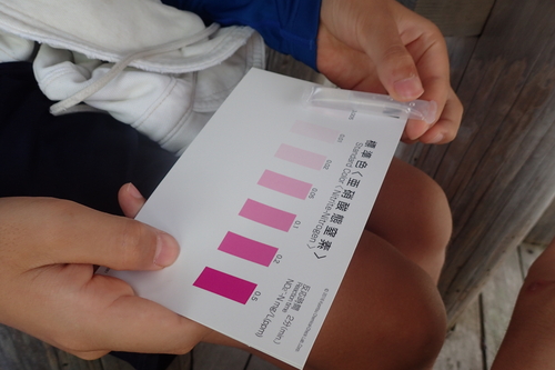 パックテストの様子