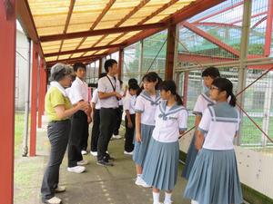 飼育ゲージの見学