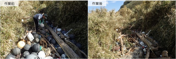 清掃前と後の海岸の様子